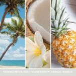Coconut Beach - Yankee Candle Signature - średnia świeca z dwoma knotami - nowość 2022 - 3