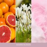 Sugared Blossom - Yankee Candle - duża świeca - seria Home Inspiration - 2