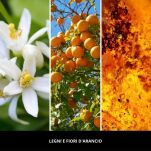 Legni E Fiori D'Arancio  Millefiori- pałeczki zapachowe 100 ml- seria Natural - 2